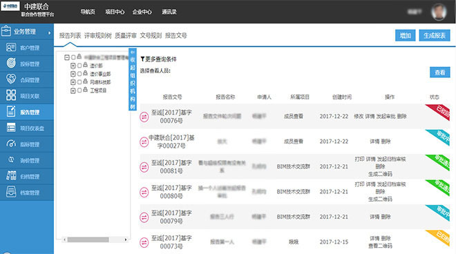 项目报告管理